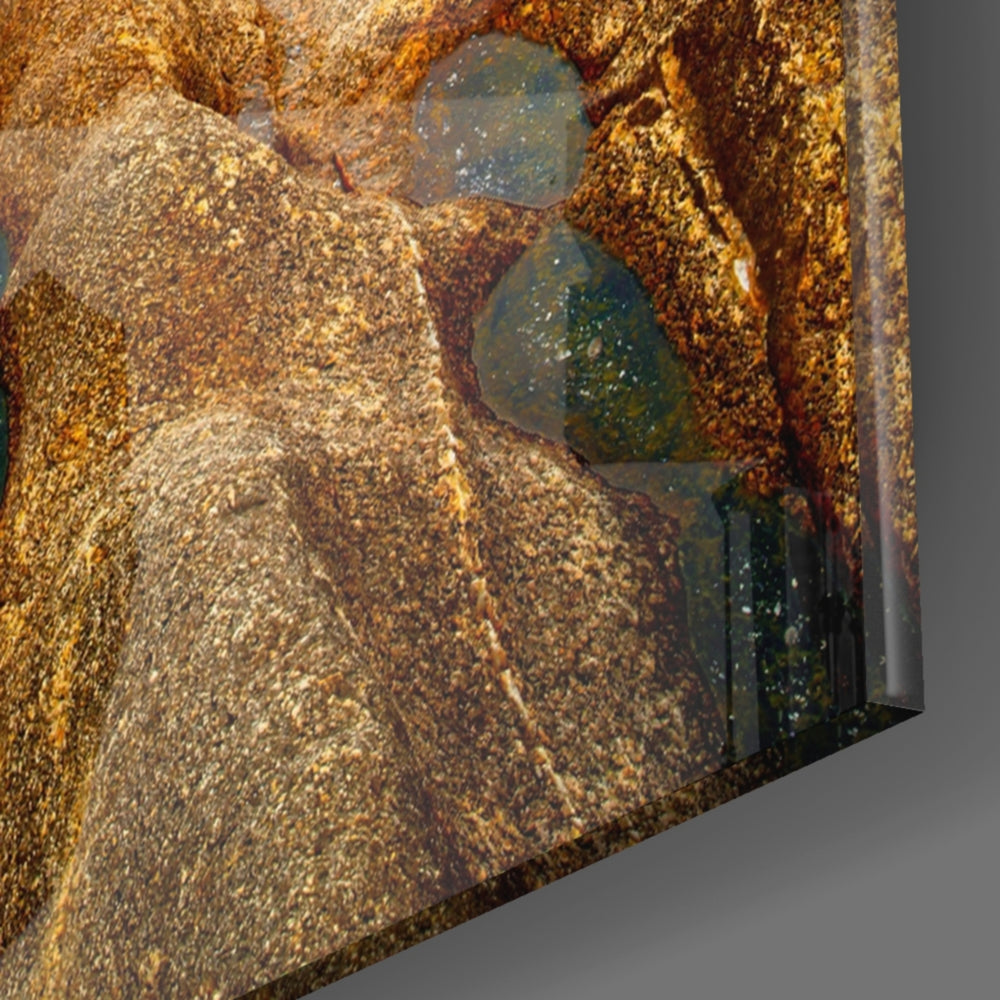 Golden Coast panel catching window light to reveal its tactile grain