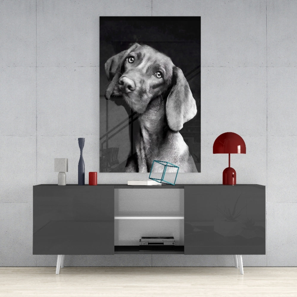 Innocent Dog Glass Wall Art.