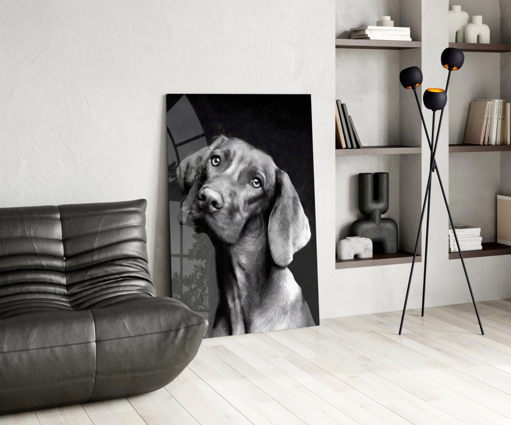 Tender Weimaraner glass print enhancing a hallway with editorial drama