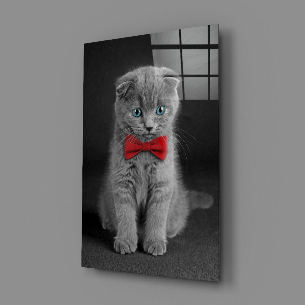 Bow-Tie Kitten close-up showing crimson bow against grey velvet fur