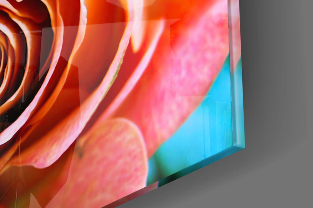 Coral Rose panel catching morning light to reveal its tactile curl
