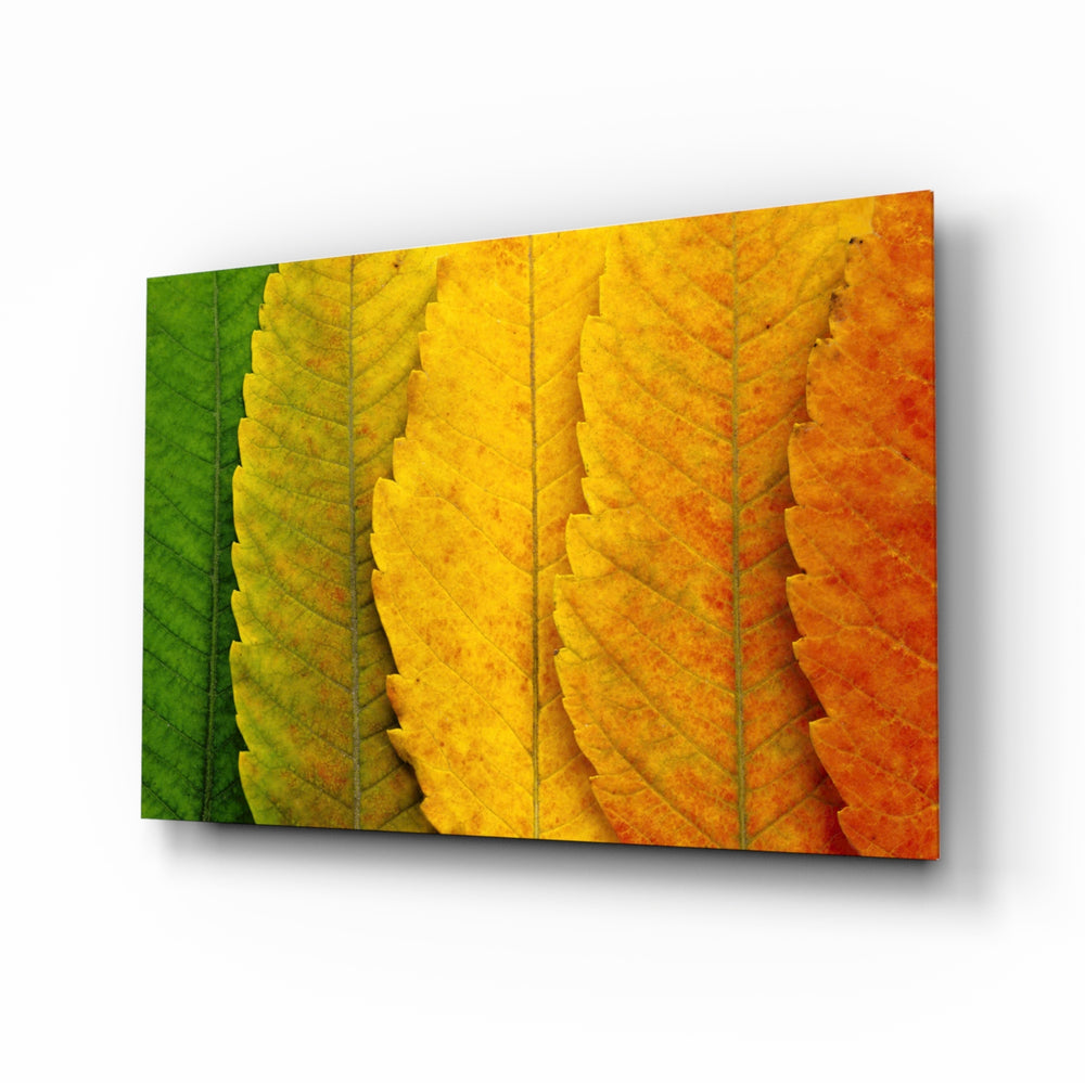 Macro-autumn panel bringing warm drama to a contemporary sunroom