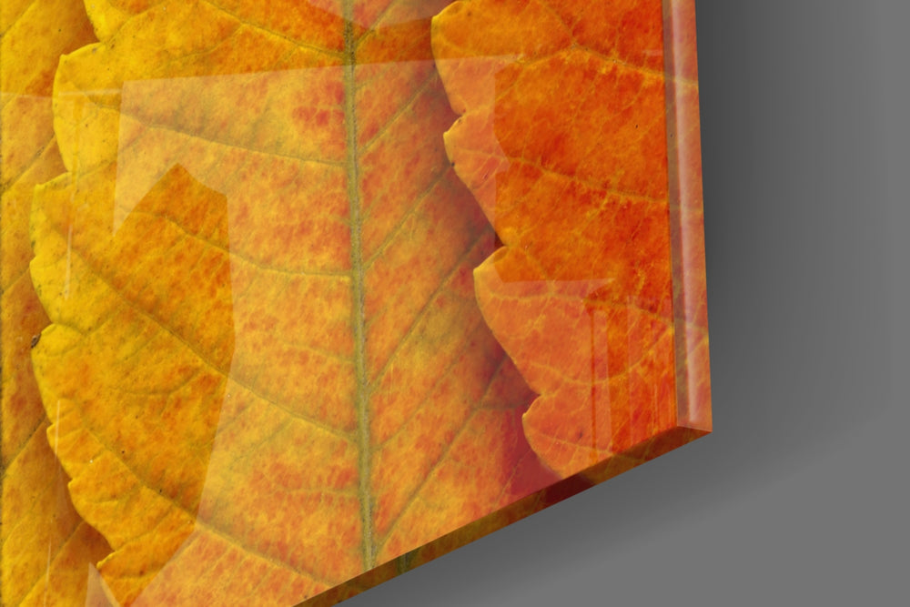 Autumn Leaves panel catching window light to reveal its tactile vein
