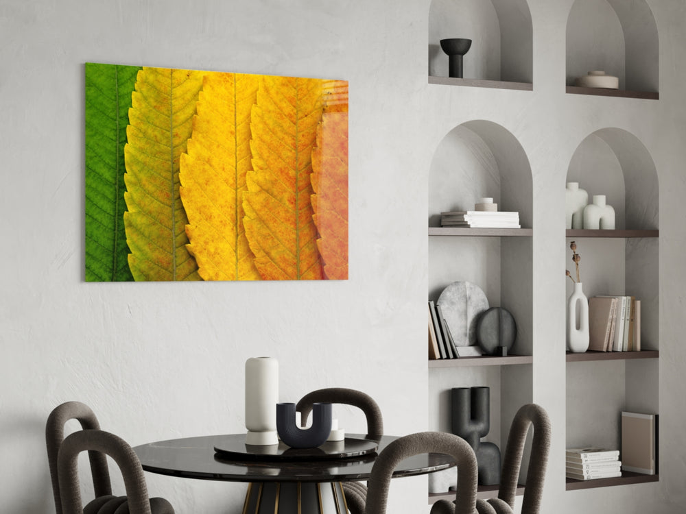 Autumn Leaves glass print enhancing an office with editorial drama
