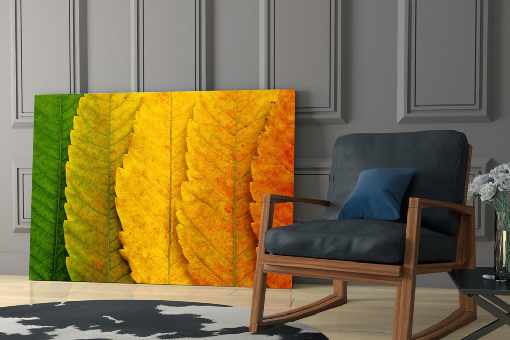 Autumn Leaves artwork anchoring a wall with warm biophilic palette