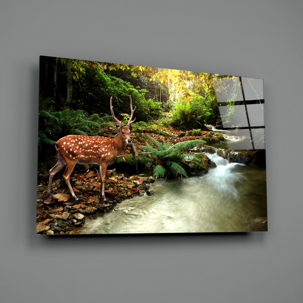 Forest Deer close-up showing spotted coat against mossy stream