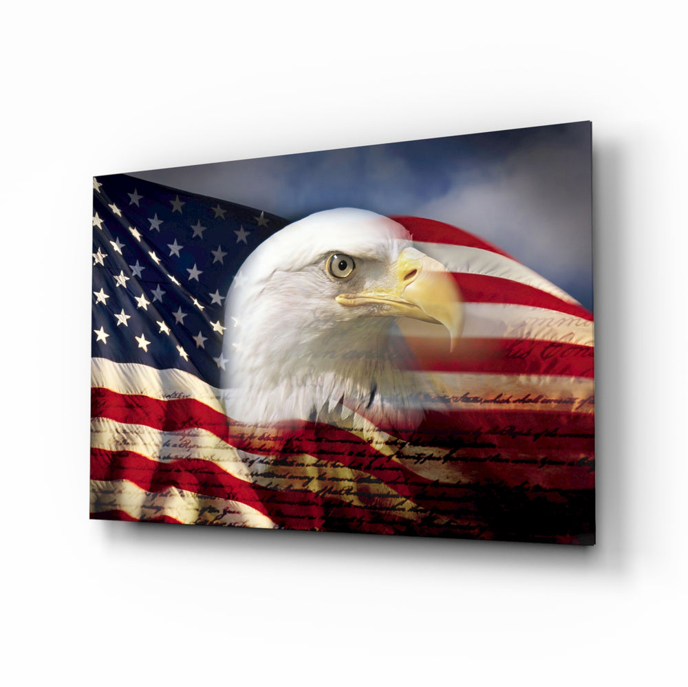 Patriotic-composite panel bringing bold drama to a contemporary library