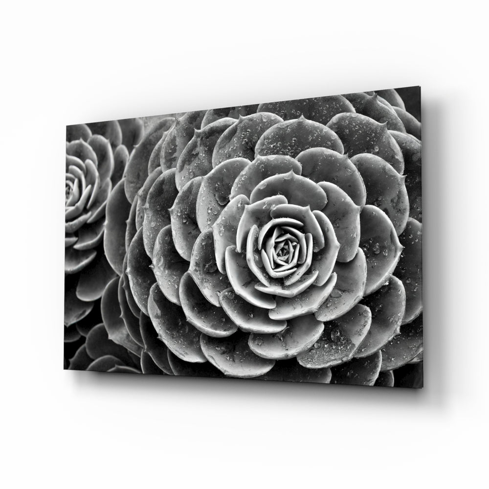 Monochrome-macro panel bringing serene drama to a contemporary biophilic space