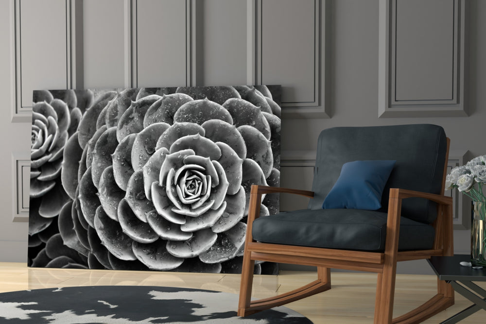 Silver Succulent artwork anchoring a wall with serene biophilic palette