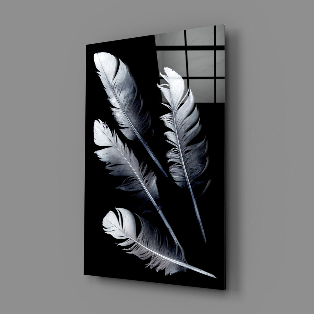 White Feathers close-up showing translucent vanes against velvet black