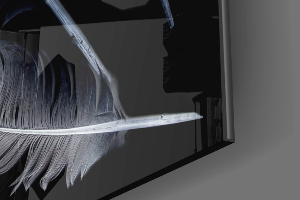 White Feathers panel catching morning light to reveal its tactile barb