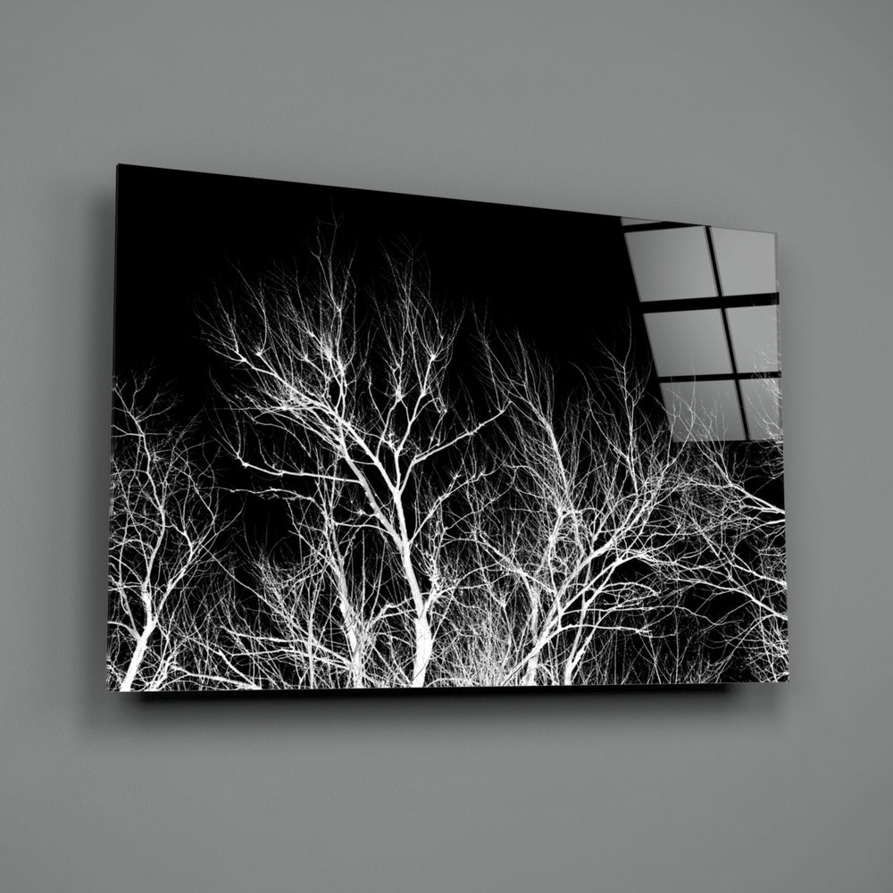 Night Trees close-up showing white twigs against velvet black sky