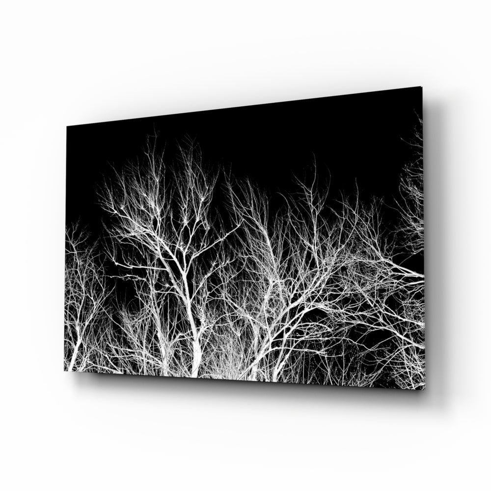 Monochrome-inverted panel bringing moody drama to a contemporary living space