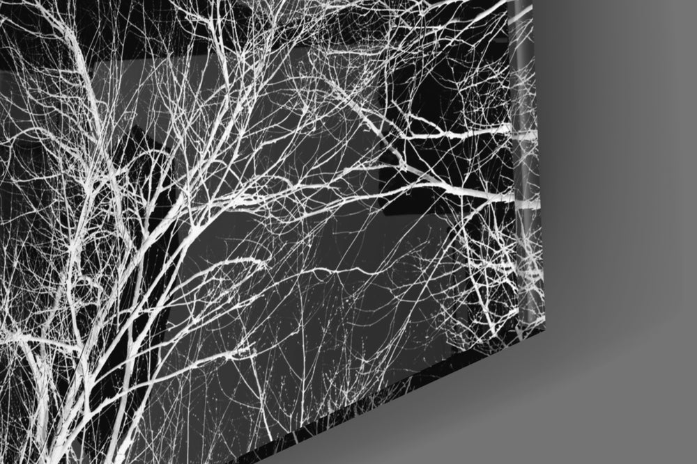 Night Trees panel catching window light to reveal its tactile twig