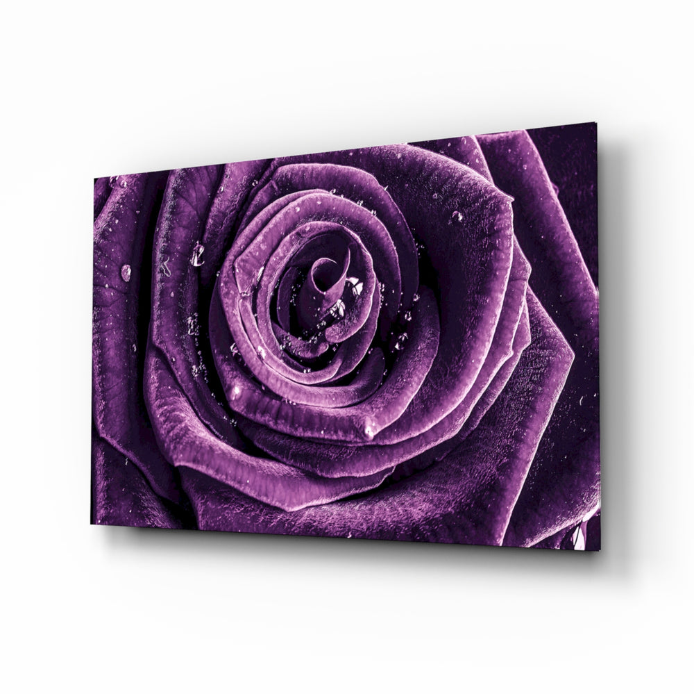 Macro-floral panel bringing romantic drama to a contemporary bedroom