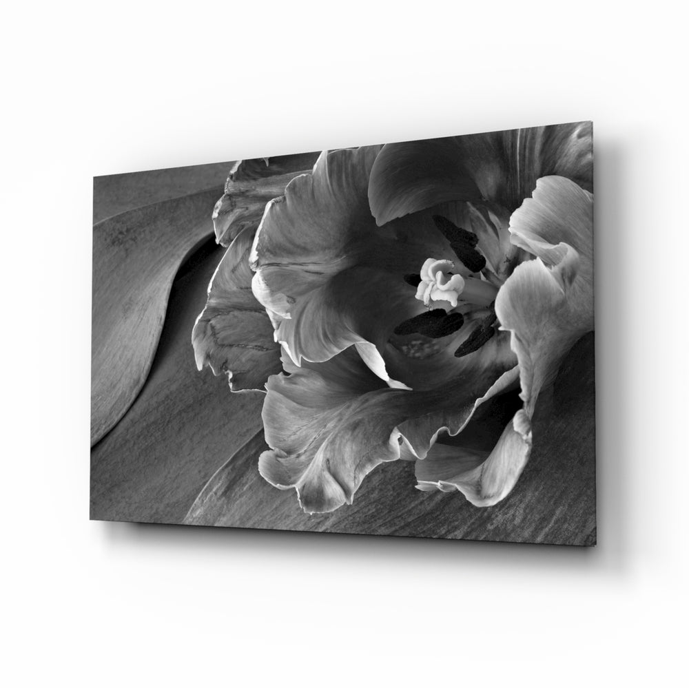 Monochrome-macro panel bringing elegant drama to a contemporary bedroom