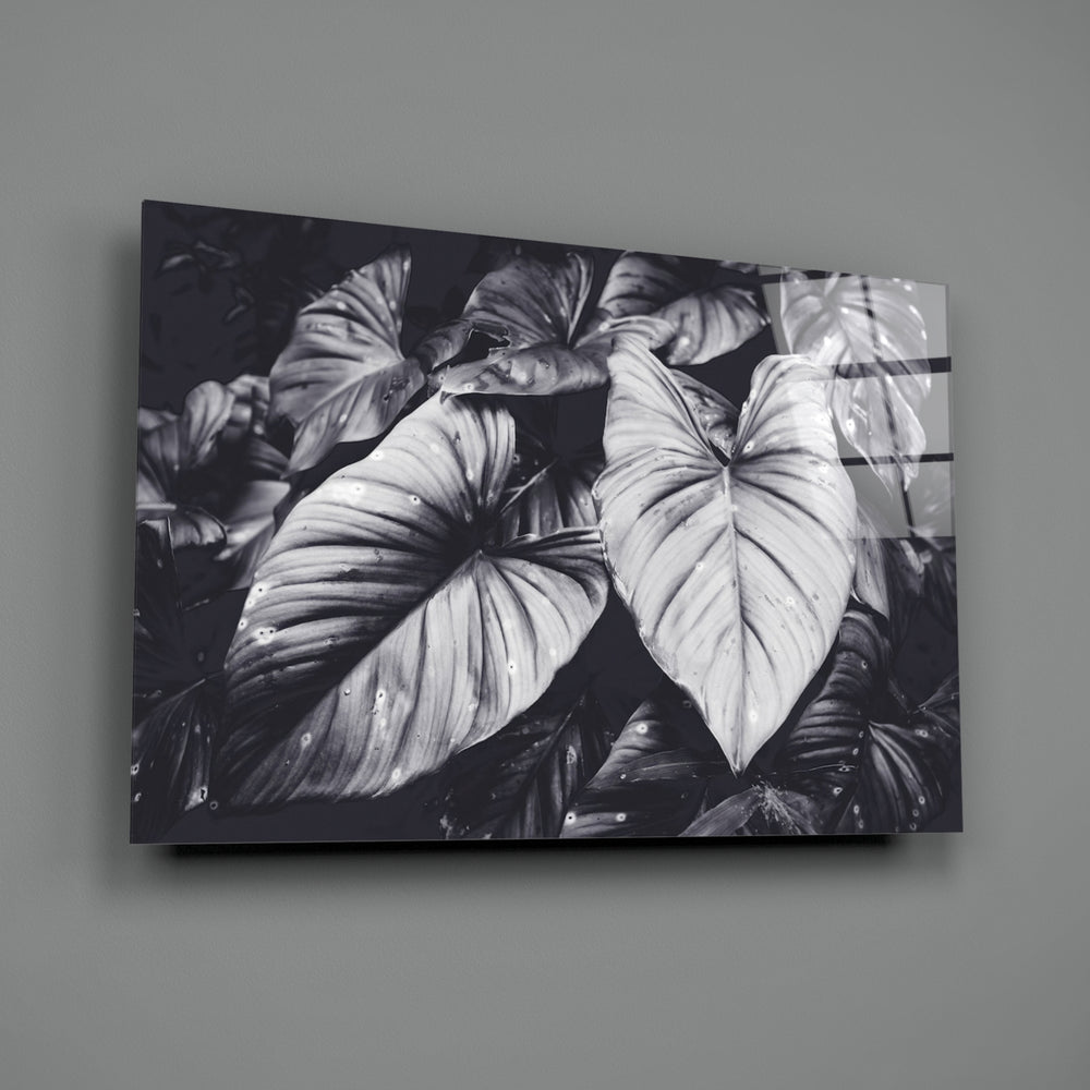 Monochrome Leaves close-up showing elephant-ear veins and dewdrops