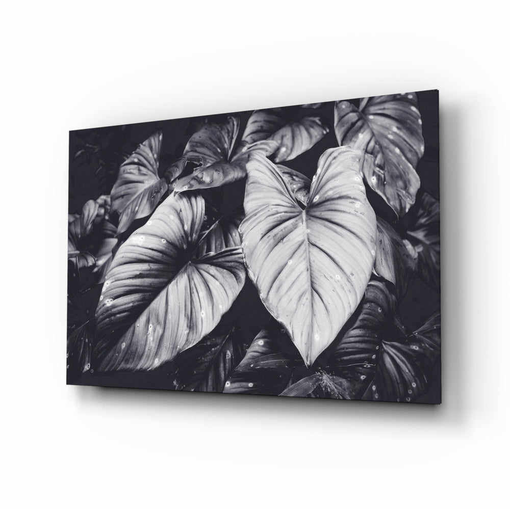 Monochrome-tropical panel bringing moody drama to a contemporary biophilic space