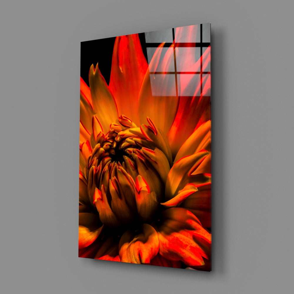Fire Dahlia close-up showing flame petals against charcoal shadow