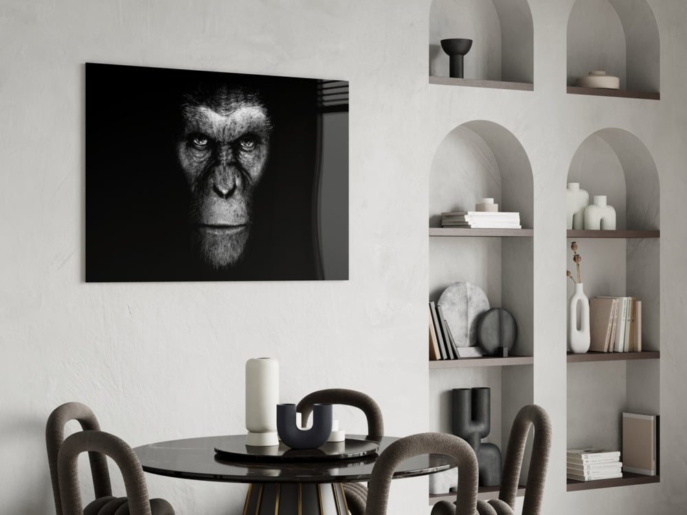 Chimp Gaze glass print enhancing a living room with cinematic drama