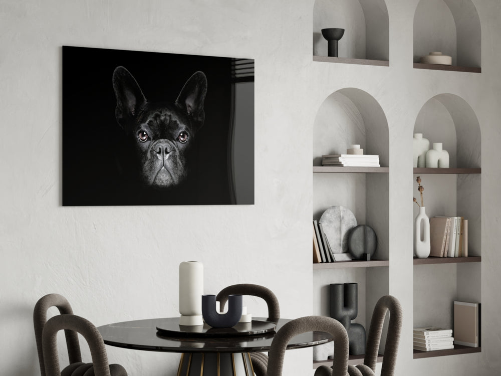 Frenchie Portrait glass print enhancing an office with cinematic drama