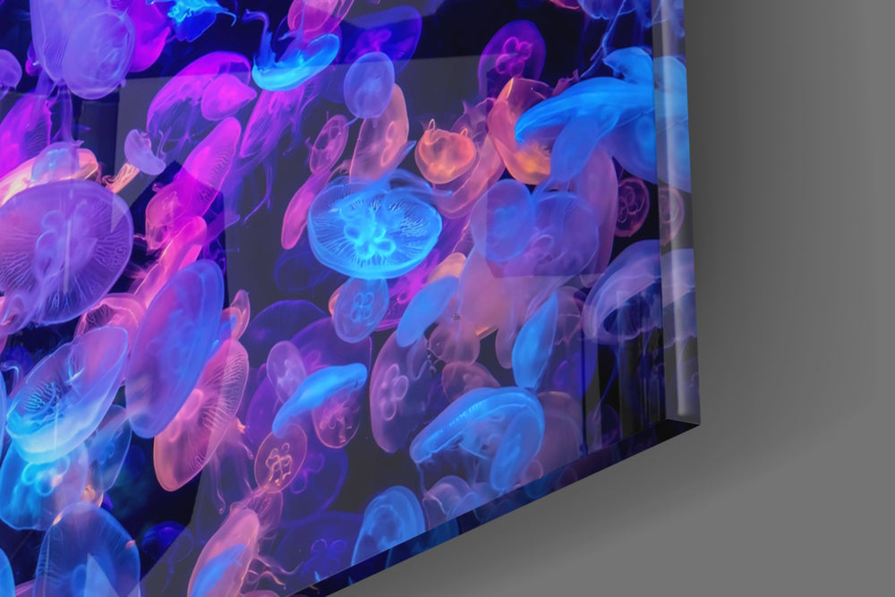 Neon Jellies panel catching brass-light to reveal its tactile glow