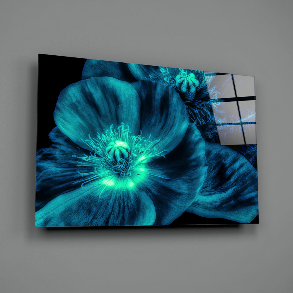 Malvales Flower close-up showing teal cyan petals around luminous stamen