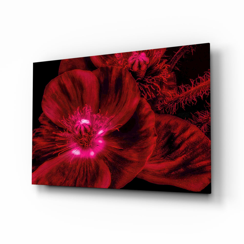 Macro-noir panel bringing dramatic glow to a contemporary lounge