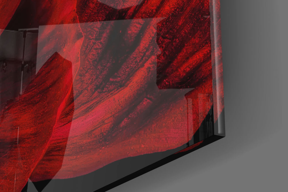 Malvales Flower panel catching low light to reveal its dramatic saturation