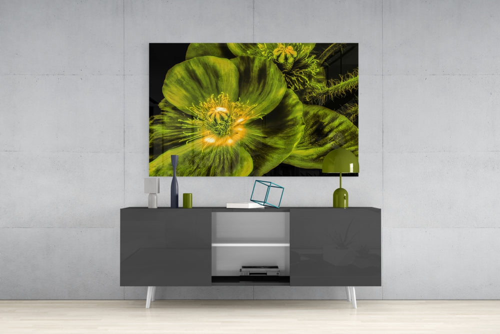 Malvales Flower Glass Wall Art.