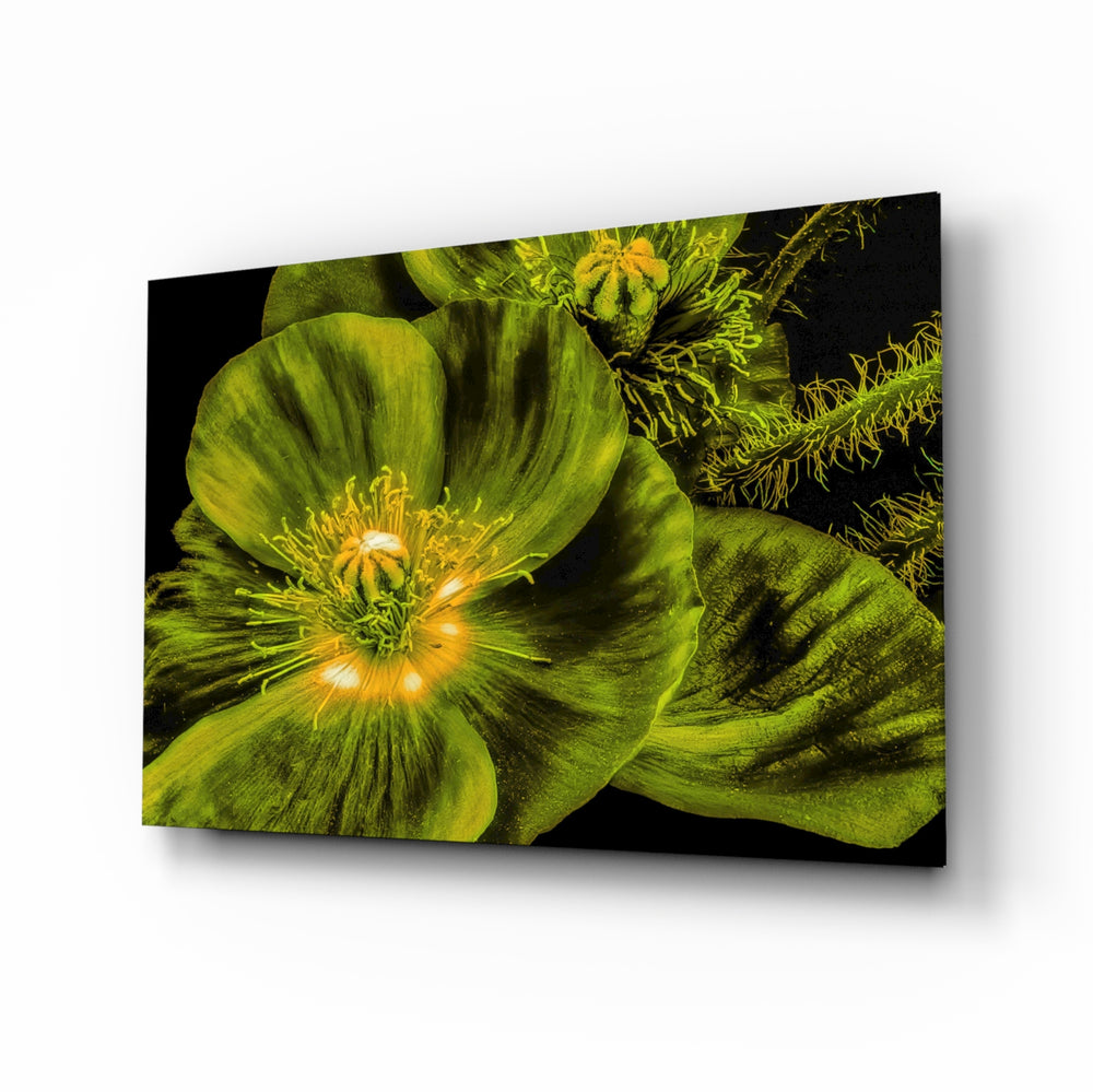 Macro-luminous panel bringing fresh glow to a contemporary lounge