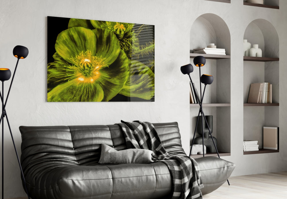 Malvales Flower panel adding editorial mood to a hallway