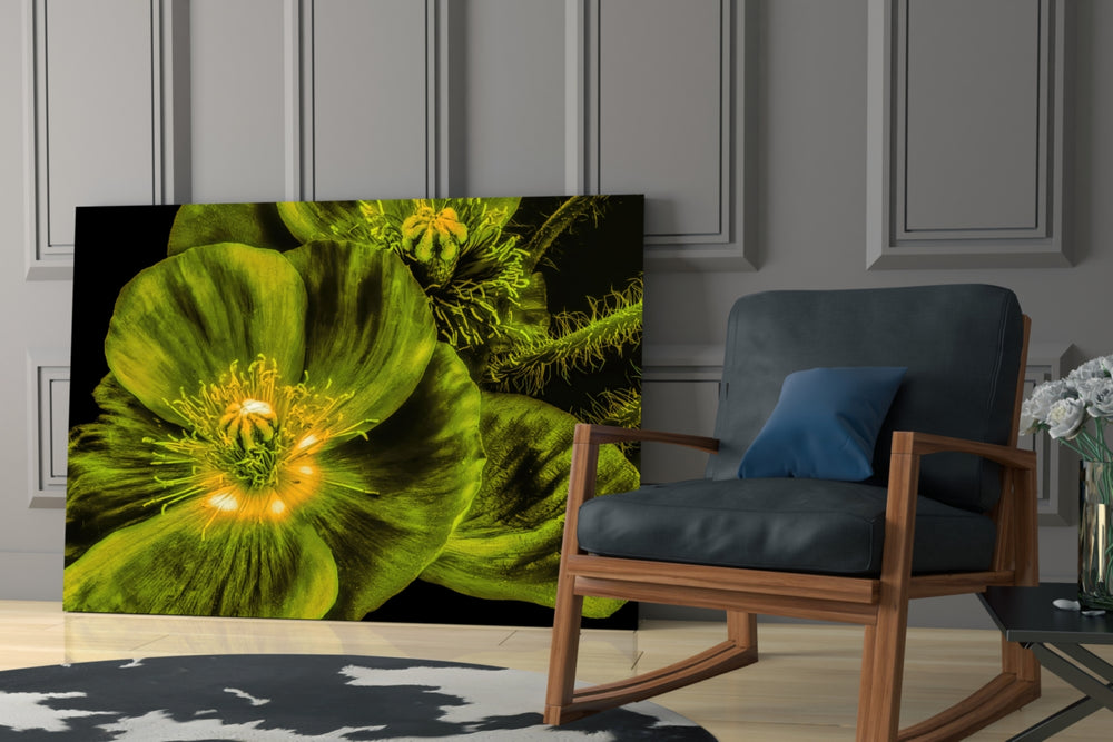 Malvales Flower artwork anchoring a wall with fresh biophilic palette