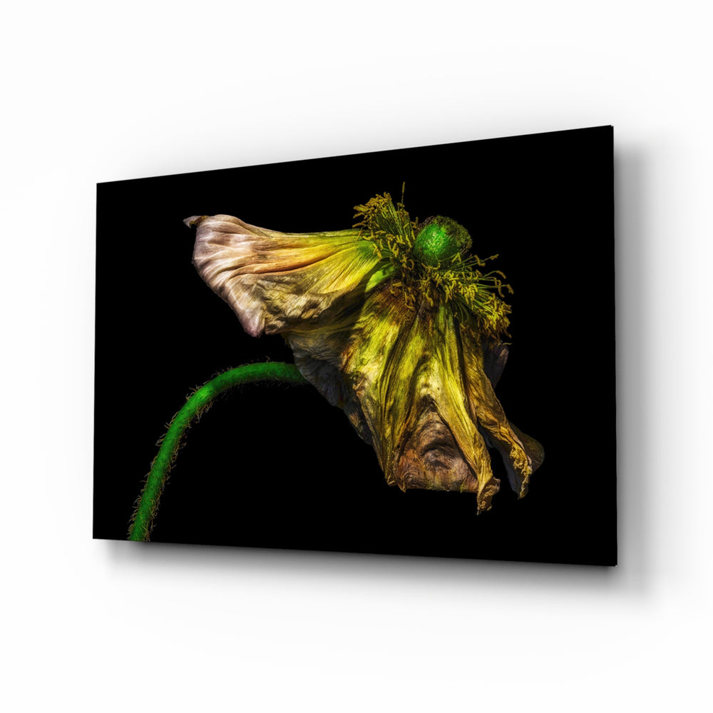 Macro-melancholy panel bringing contemplative calm to a contemporary lounge