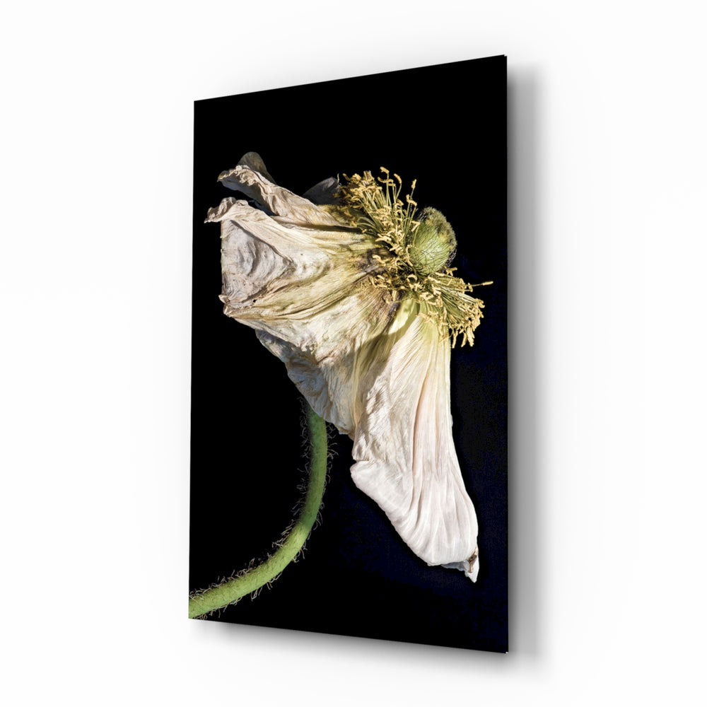 Vanitas-macro panel bringing contemplative calm to a contemporary lounge