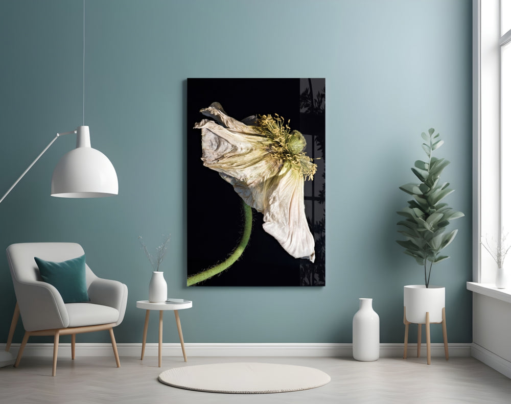 Flower panel adding editorial mood to a study
