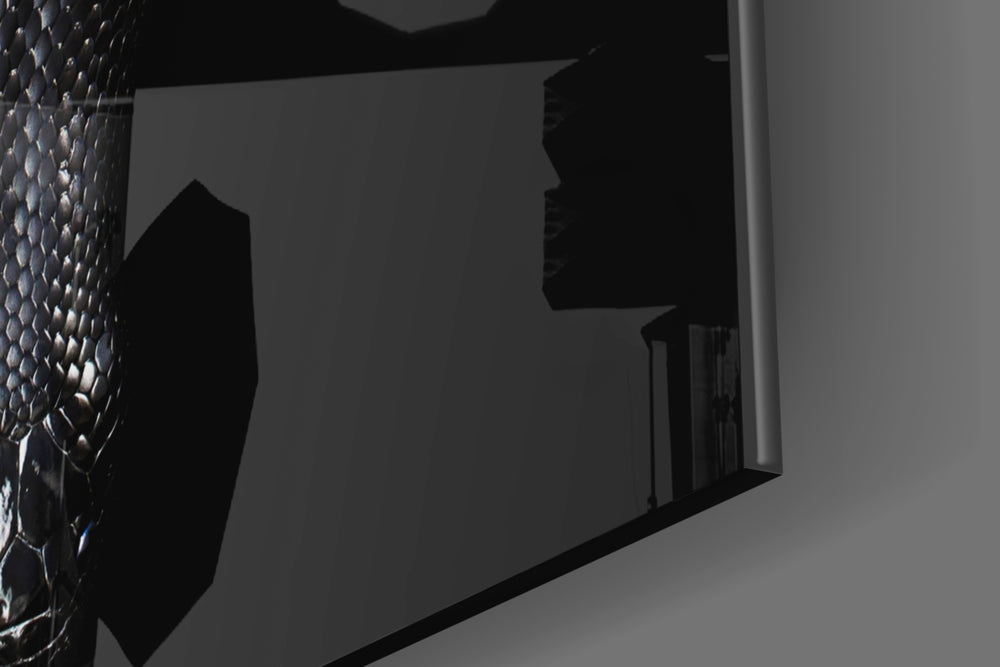 Snake panel catching low light to reveal its tonal contrast