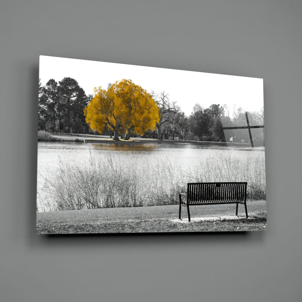 Yellow Tree close-up showing golden foliage among bare monochrome branches