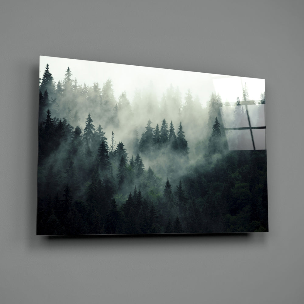 Landscape of Darkness close-up showing pine crowns fading into pale fog