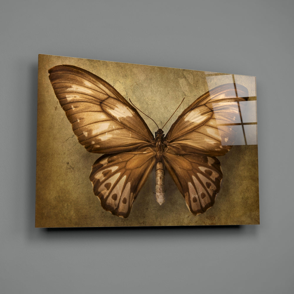 Butterfly close-up showing copper-toned veined wings on aged sepia