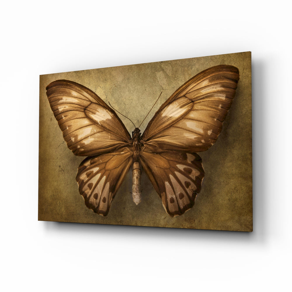 Vintage-naturalist panel bringing nostalgic warmth to a contemporary study