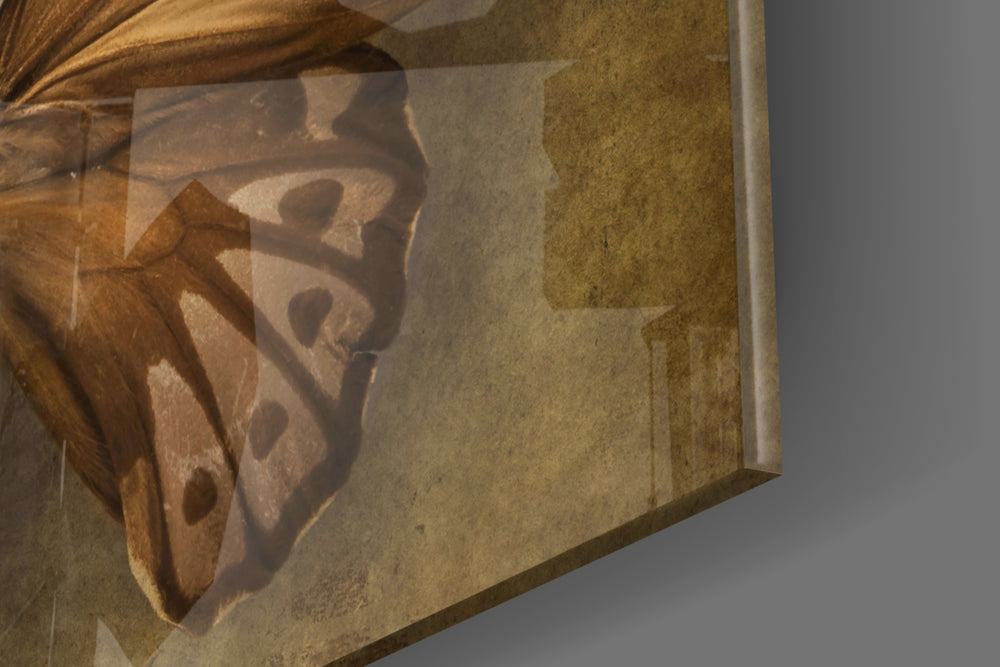 Butterfly panel catching window light to reveal its warm patina