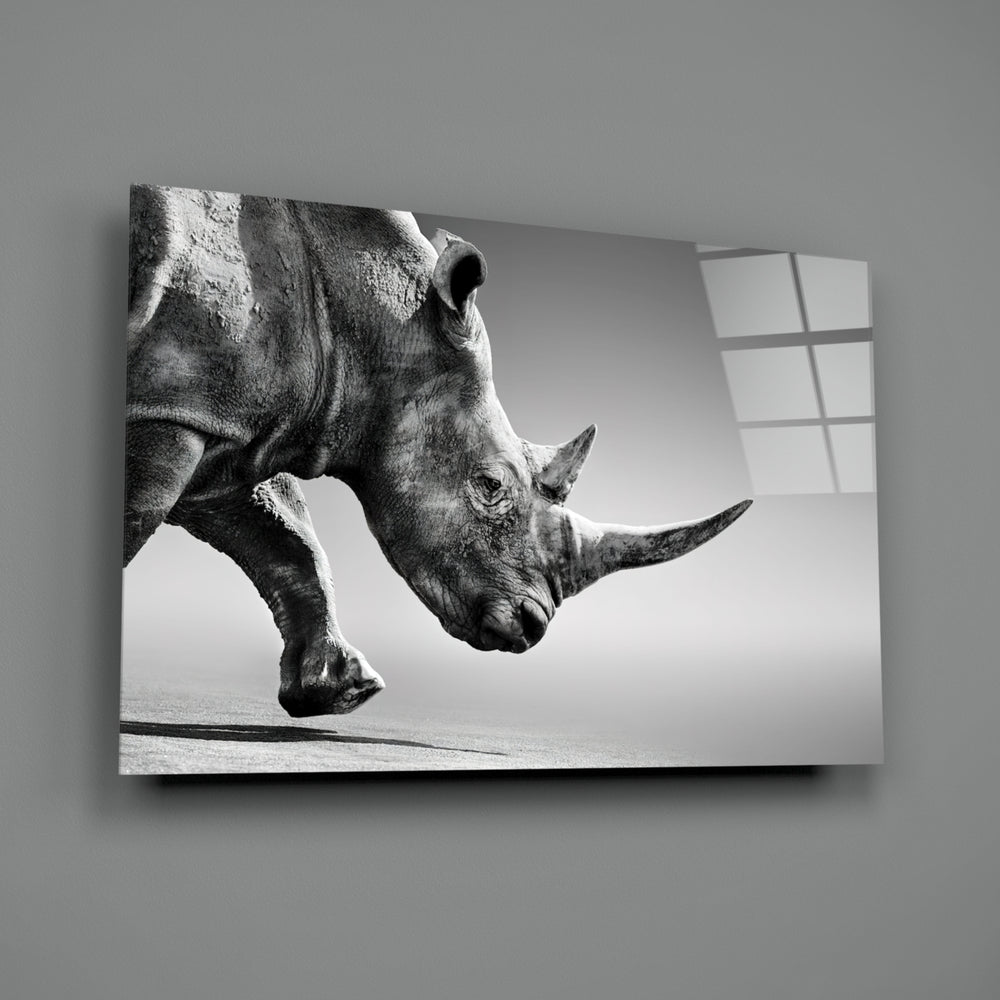 Black Rhino close-up showing charging rhinoceros with shadowed hide on pearl ground