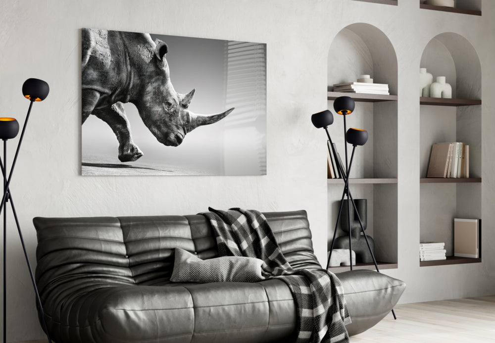 Black Rhino panel adding editorial mood to an office