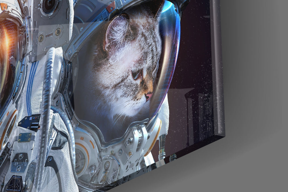 Space Team panel catching low light to reveal its luminous warmth