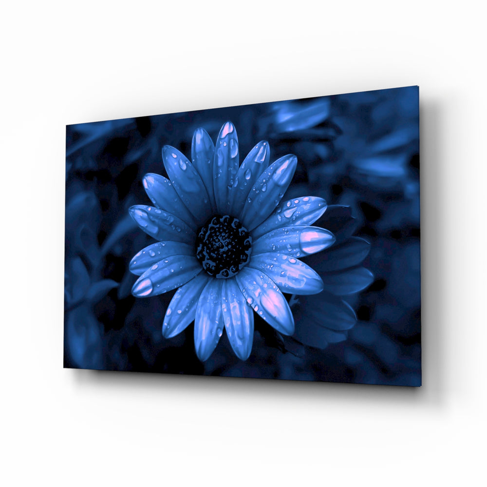 Macro-monochrome panel bringing serene calm to a contemporary lounge