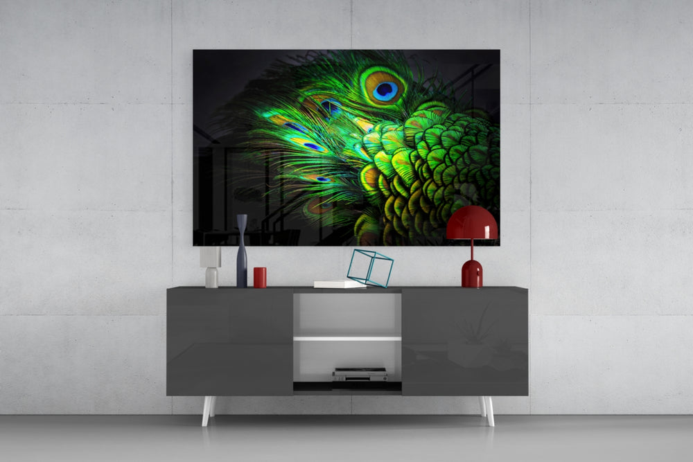 Peacock panel catching low light to reveal its iridescent depth