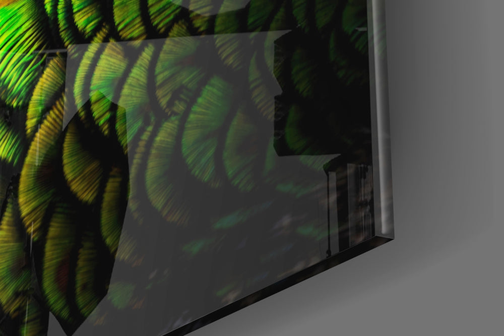 Peacock artwork anchoring a wall with dark jewel-tone palette