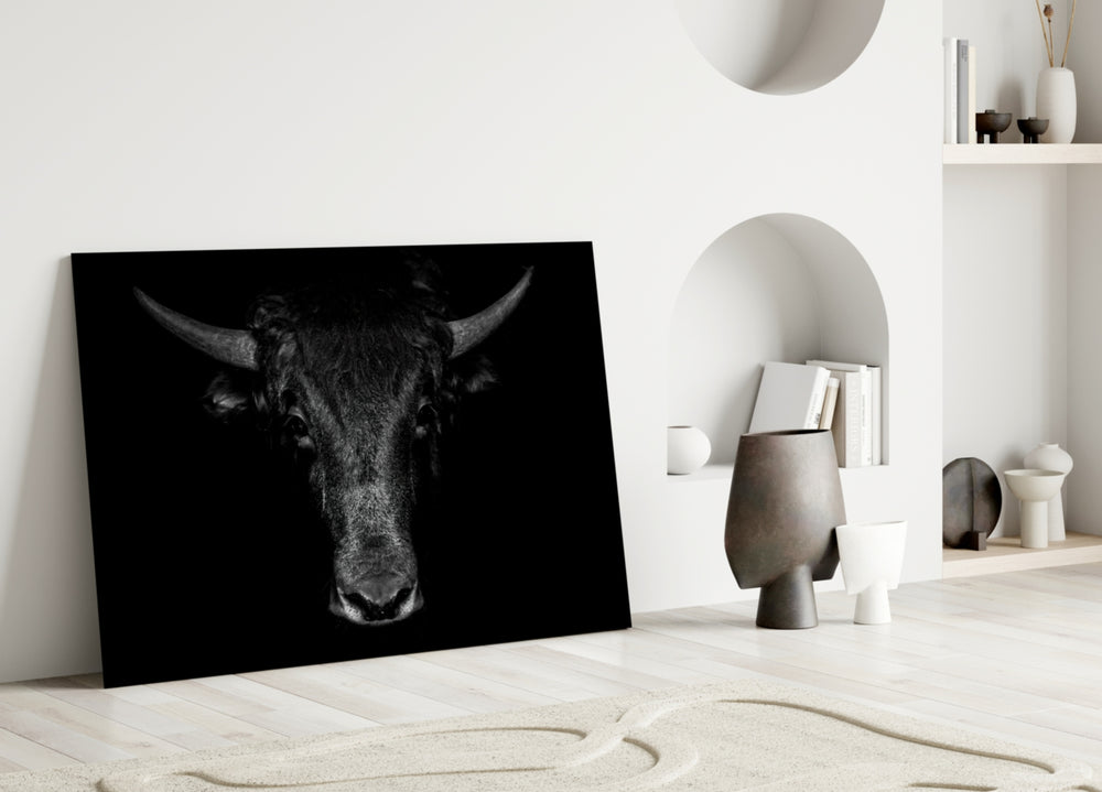 Buffalo close-up showing horned bull head emerging from black shadow