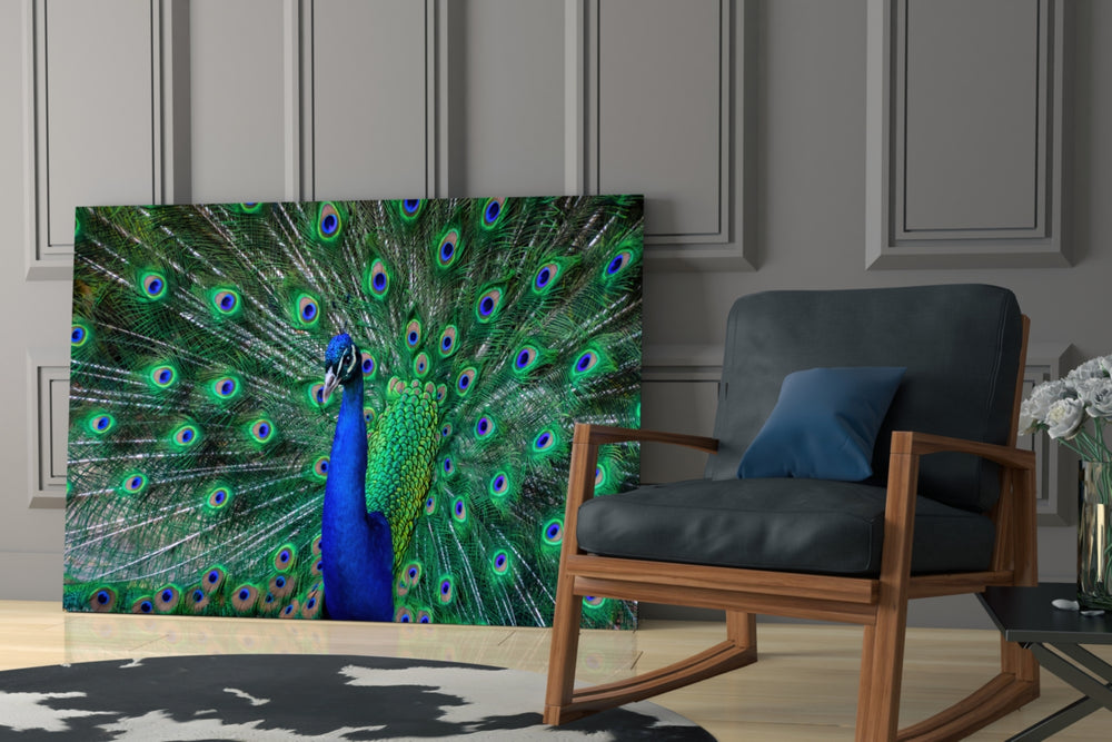 Peacock glass print enhancing a living room with cinematic warmth